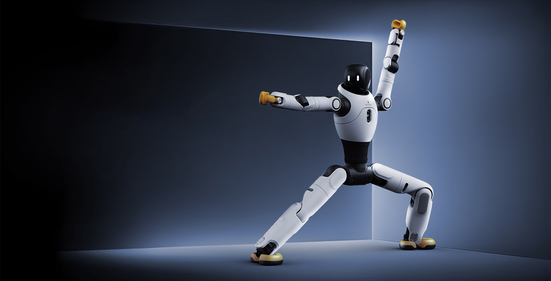 今年会jinnianhui金字招牌灵犀 X2